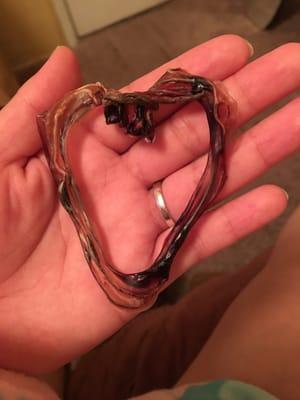 Umbilical cord made by Danielle