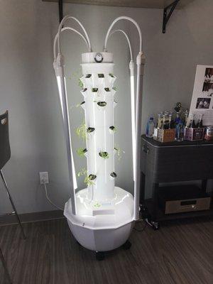 Futuristic plant apparatus in the waiting area!