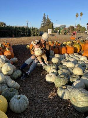 Pumpkin patch