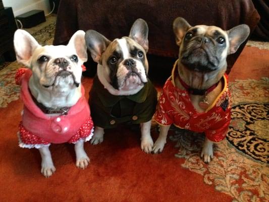 The girls dressed up for New Year's Eve.