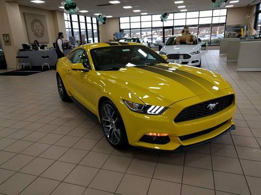 Rodman Ford Mustang Dealership