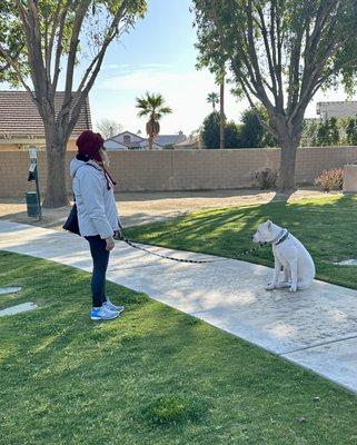 Obedience Class