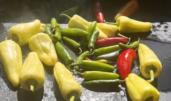 Roasting chiles for the salsas.