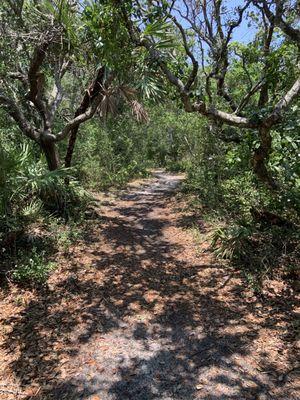 Gamble Rogers Memorial State Recreation Area