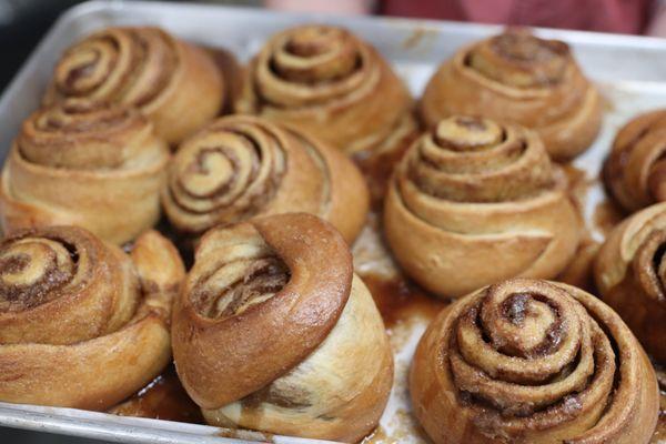 Famous cinnamon rolls