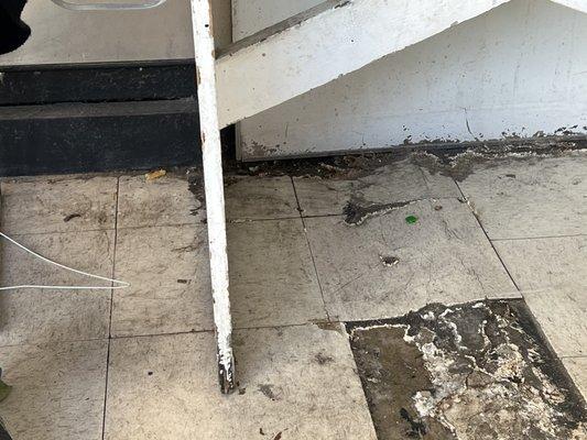 Food on the nasty floor. Bonus discarded hanger.