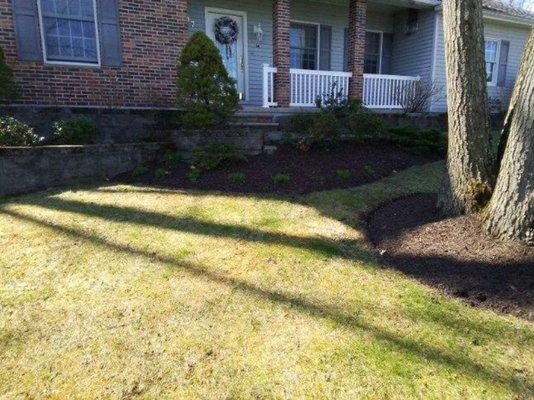 Freshly Cut Lawn