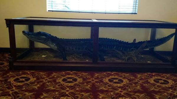 Lobby Gator