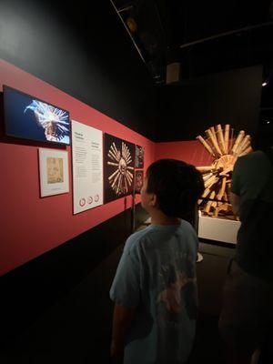 California Science Center, Leonardo Da Vinci Exhibit - Summer Camp