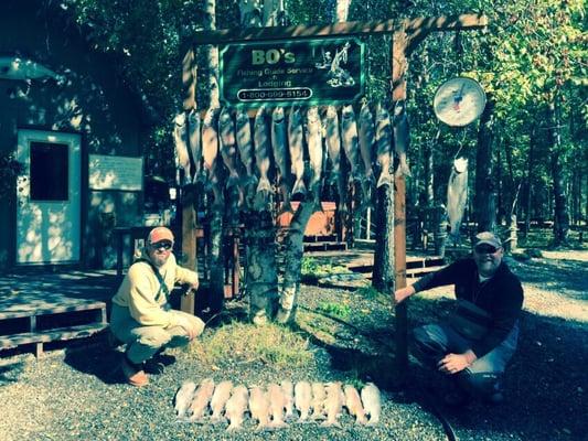 Kenai River Sockeye Salmon