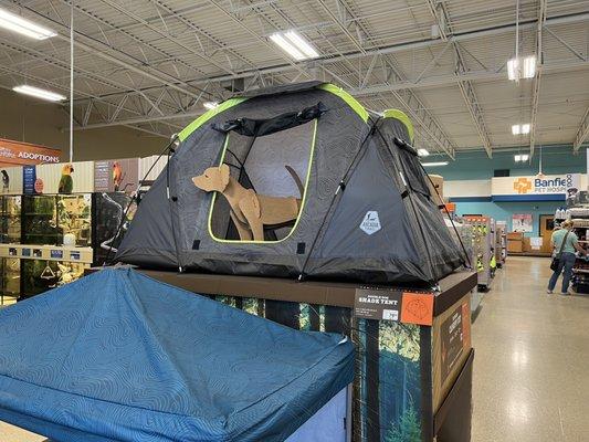 Dog tents