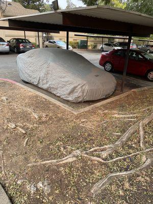 My car was perfectly clean and completely covered at 8:30am. They lifted my car cover and purposely blew dirt, leaves and rocks on it.