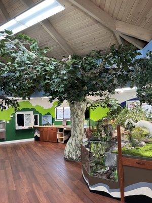 Come visit our newly renovated Nature Center!