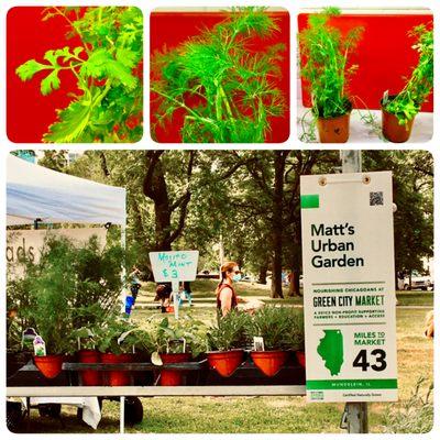 Green City Farmers Market Wednesdays and Saturdays in Lincoln Park 2021