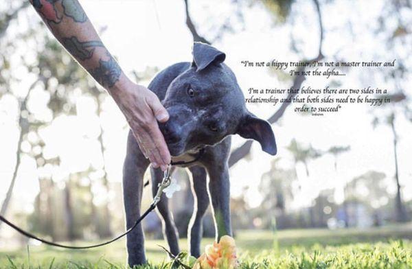 Understanding Dogs is our joy, our love, purpose in life. @TheHoundsGrounds