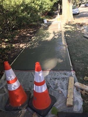 Installing new concrete walkways ChestnutHill