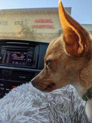 Waiting outside for a walk-up appointment.