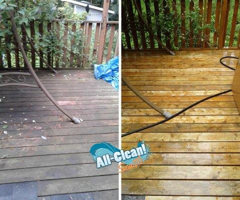 Pressure washing rips the surface of wood decks, but soft washing removes the algae while restoring the beautiful wood finish!