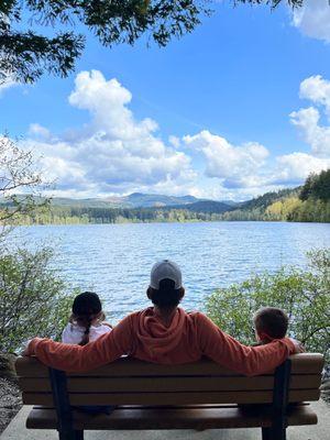 Gorgeous views with benches all around the lake to enjoy