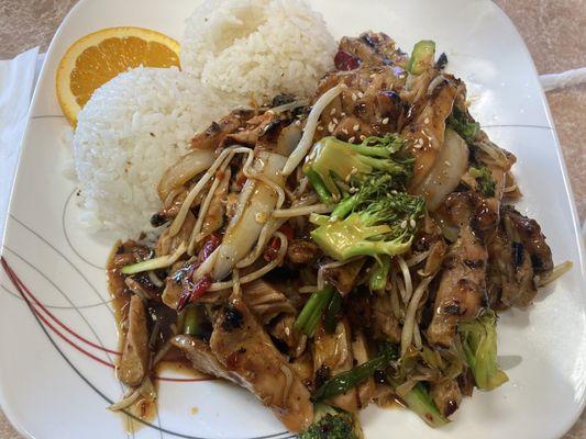 Spicy Chicken Teriyaki