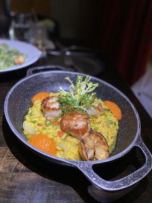 Scallops and risotto