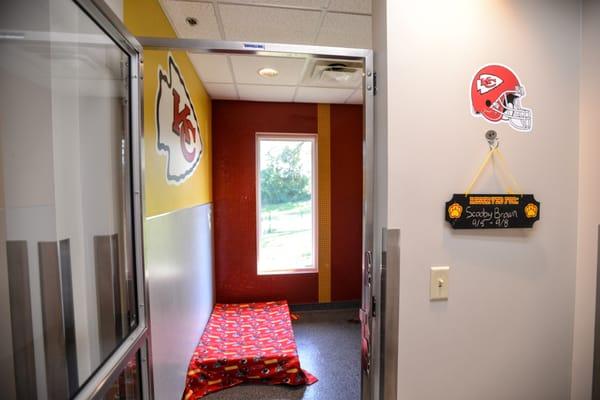 Chiefs Luxury Suite for boarding complete with TV and webcam to check on your pet during their stay