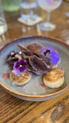 SCALLOP potato chips * yuzu * pig lips * herbs