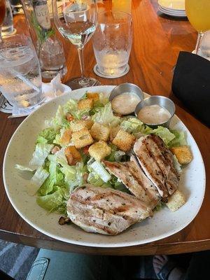 Chicken caesar salad