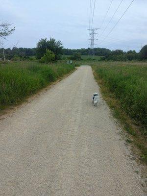 Gravel pathways are easily accessible for most! I've used my walker before!