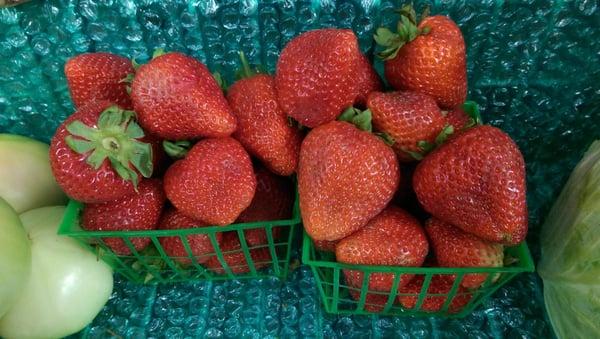 Open pints of strawberries.