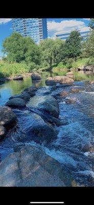 Mill river in Stamford