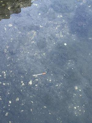 Needle floating in the water outside of it...