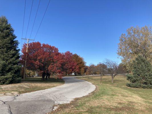 Fall at Pipal Park