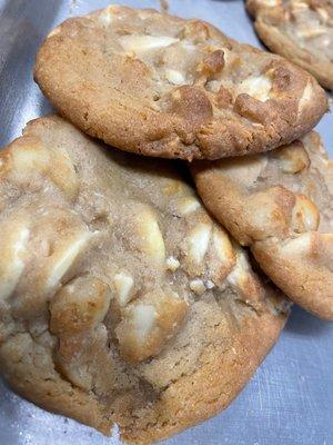 White chocolate macadamia nut cookie