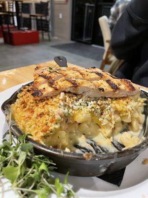 Baked Mac and Cheese w/ Chicken