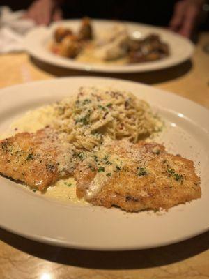 Crusted Chicken Romano with white sauce