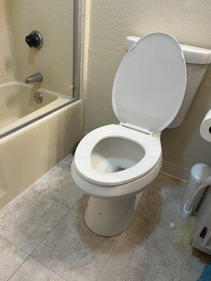 Toilet installation