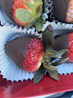 Chocolate Covered Strawberrys