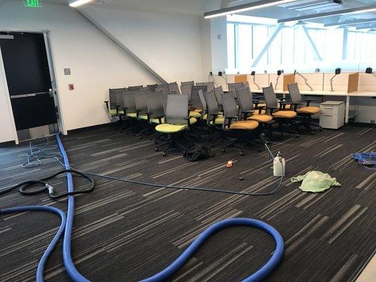 Commercial carpet and upholstery cleaning