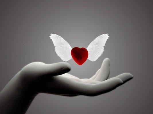 Love has wings...