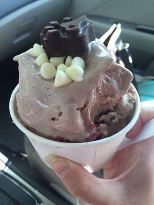 The Bulldog- Chocolate Ice Cream with Red Velvet Cake and White Chocolate Chips.   Chocolate ice cream is really delicious.