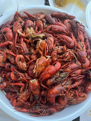 Crawfish boil