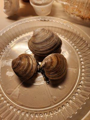 Unopened clams that came with my Linguini and Clam dinner!!