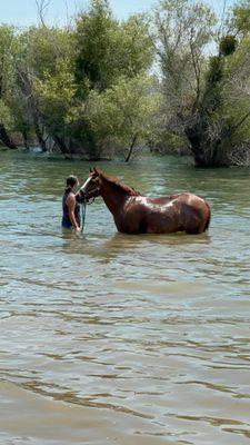 Summer time ... just minutes from the barn