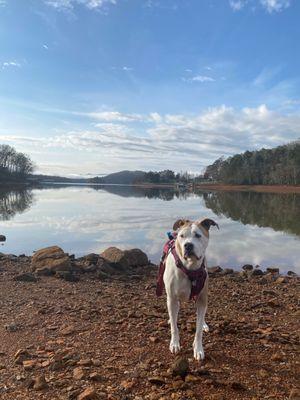 Lake Chatuge