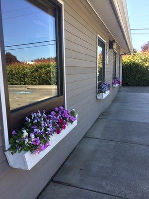 Flower boxes - nice touch