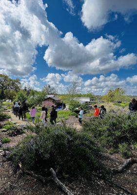 The Giving Garden