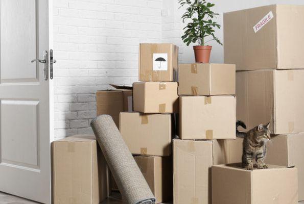 Dielman Moving & Storage