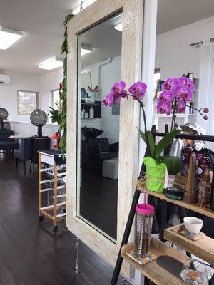 Beautiful new salon!