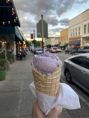 blueberry ice cream